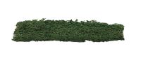 Rough Hedging Strips