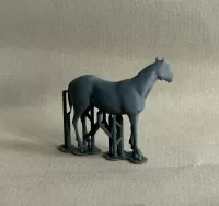 3D 1:48th Pony 