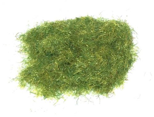 Summer Dry Long Grass